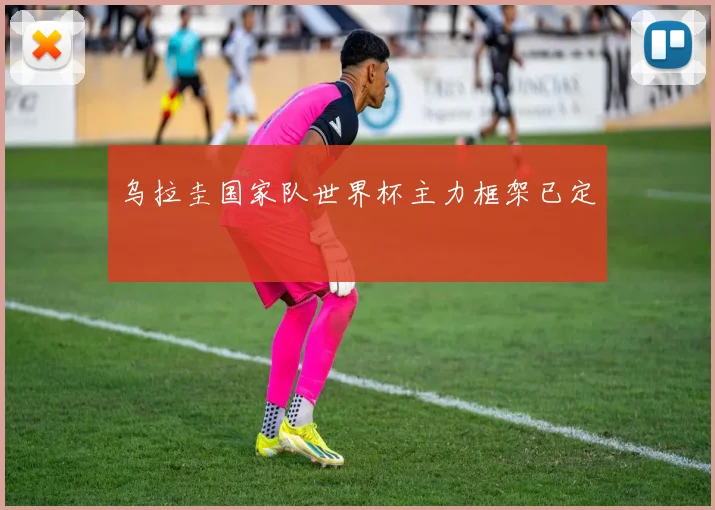 乌拉圭国家队世界杯主力框架已定