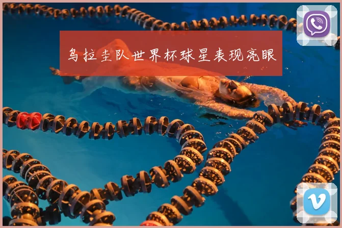 乌拉圭队世界杯球星表现亮眼